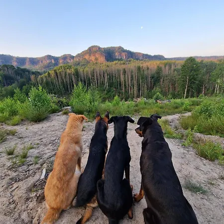 Apartment Herzenstoelen *