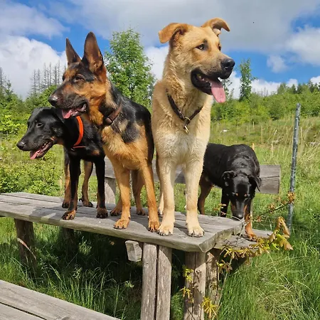 Herzenstoelen Apartment Sebnitz