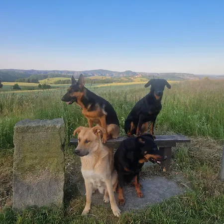 Apartment Herzenstoelen Sebnitz